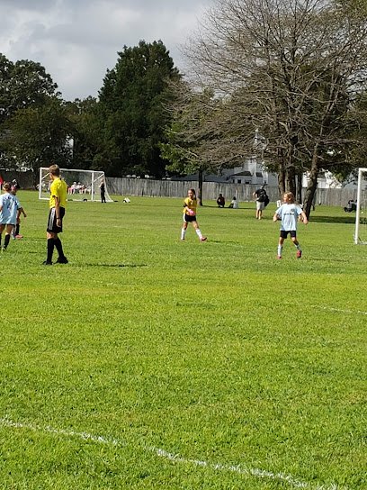 Soccer Field image 1