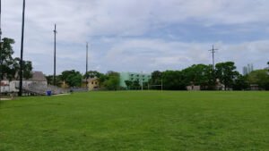 Soccer Field image 1