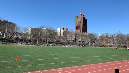 Soccer Field image 1