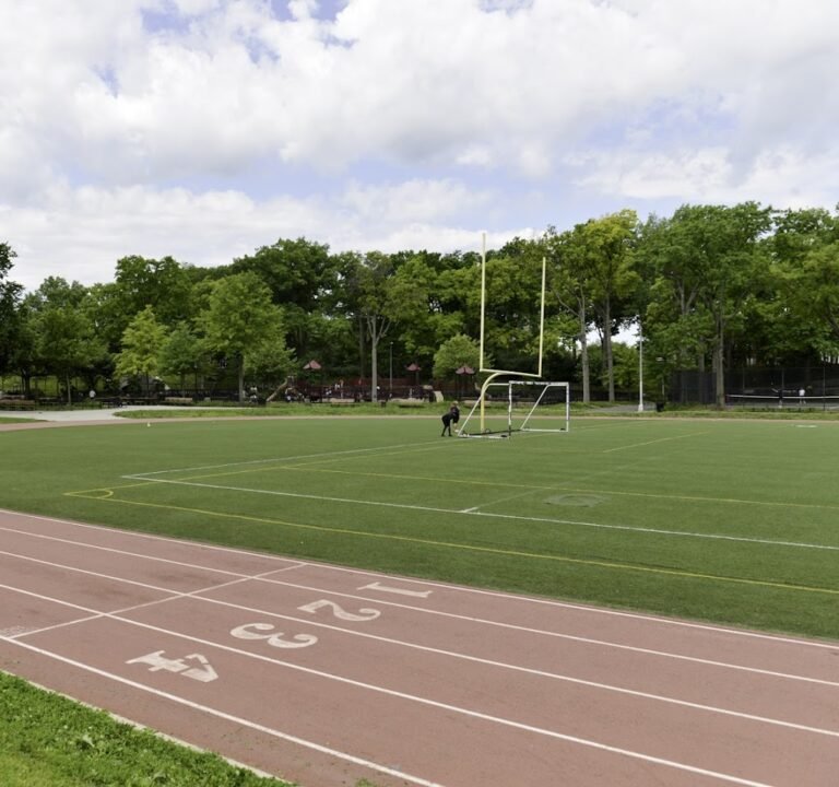 Soccer Field image 2
