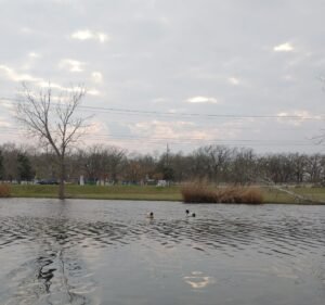 Soccer Field image 2