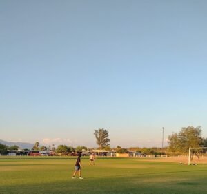 Soccer Field image 2