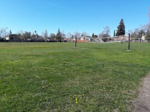 Soccer Field image 1