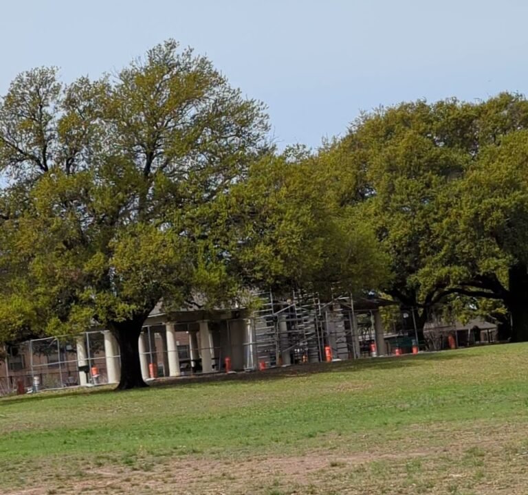 Soccer Field image 3