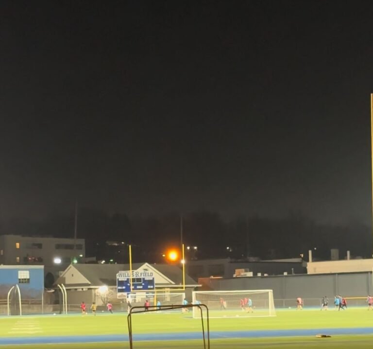 Soccer Field image 3