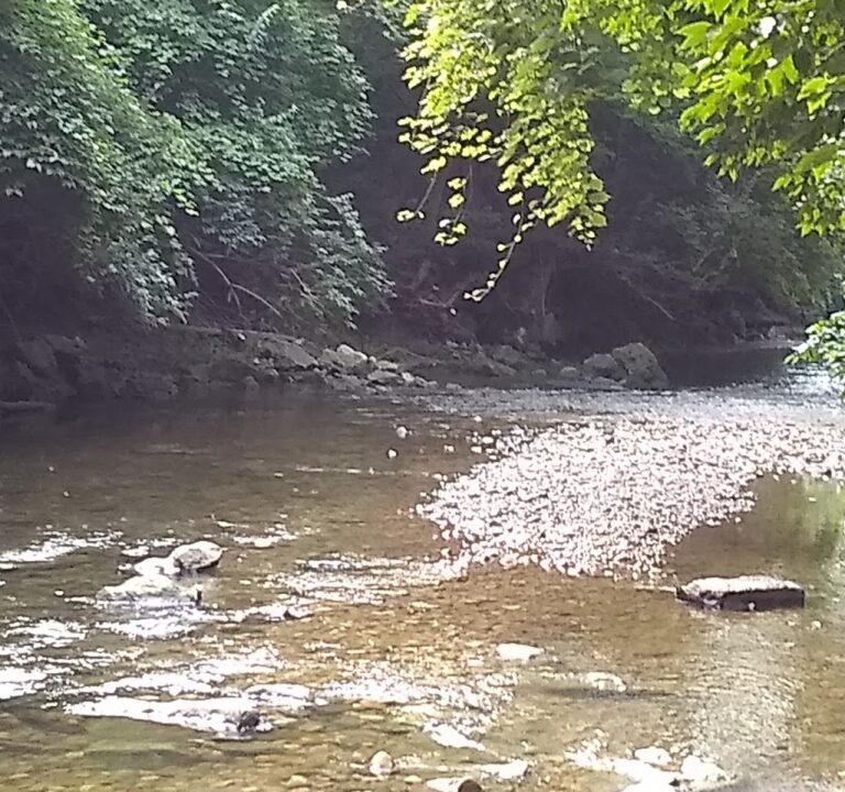 Soccer Field image 2