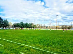 Soccer Field image 1
