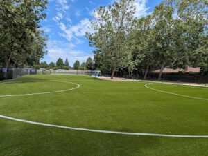 Soccer Field image 1