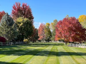 Soccer Field image 1