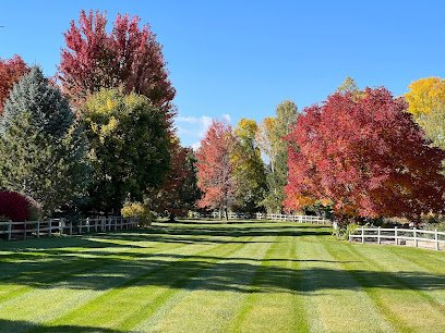 Soccer Field image 1