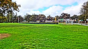 Soccer Field image 1