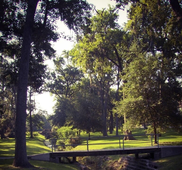 Soccer Field image 2