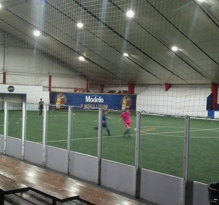 Soccer Field image 2