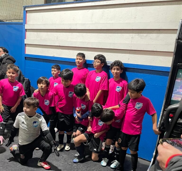 Soccer Field image 3