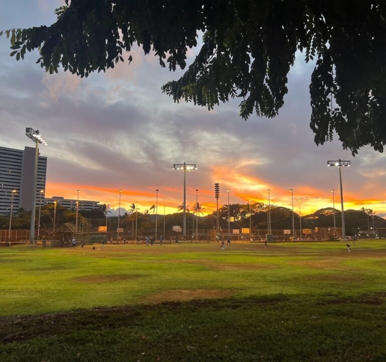 Soccer Field image 3