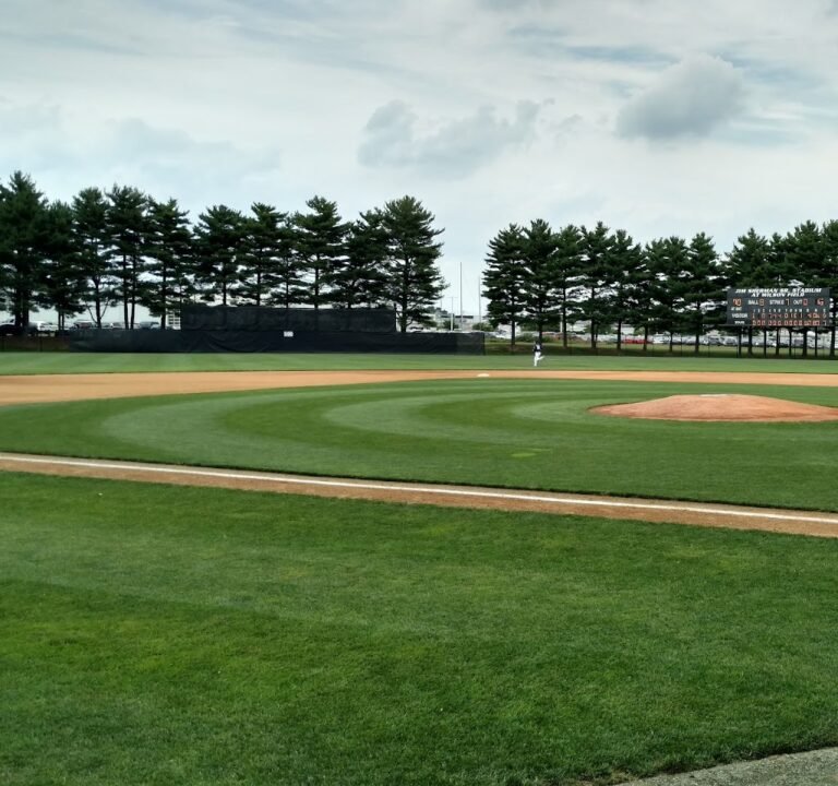 Soccer Field image 2