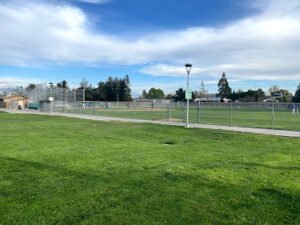 Soccer Field image 1