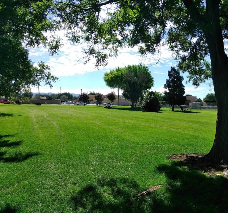 Soccer Field image 2