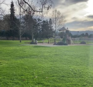 Soccer Field image 4