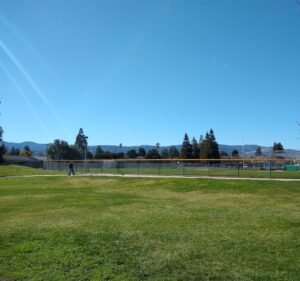 Soccer Field image 2
