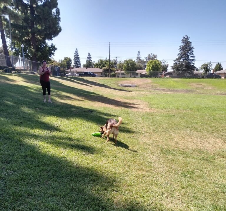 Soccer Field image 2