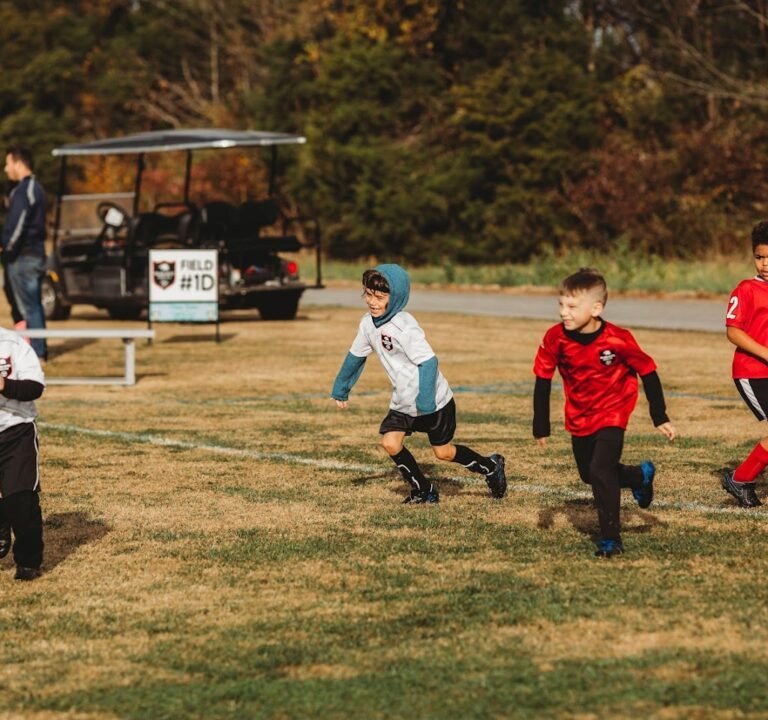 Soccer Field image 2