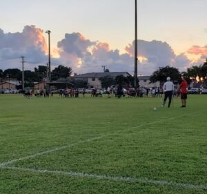Soccer Field image 2