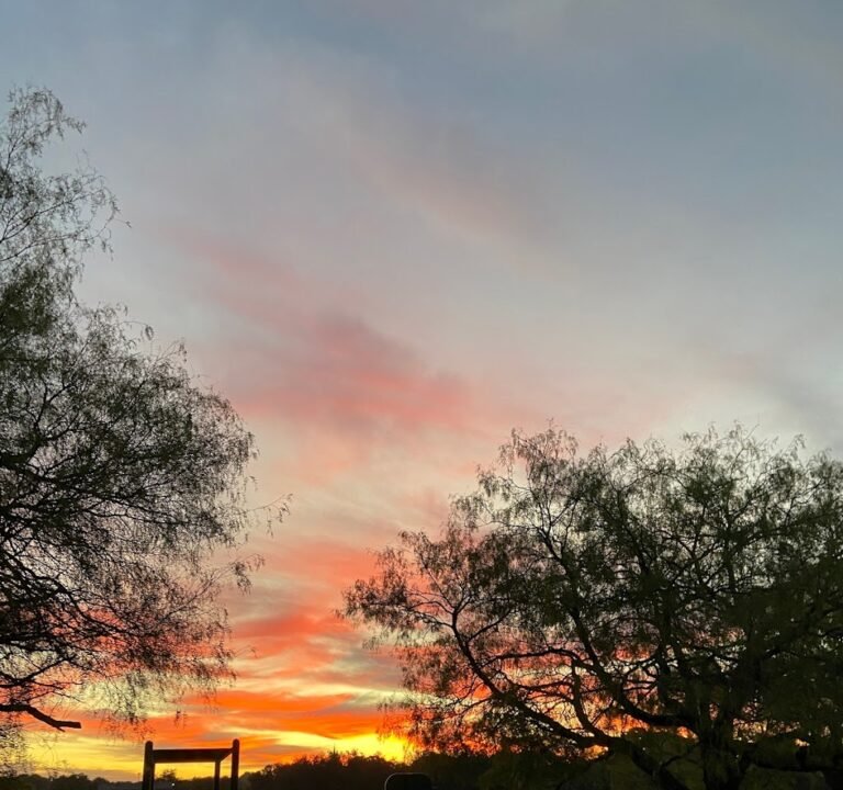 Soccer Field image 2