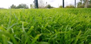 Soccer Field image 1