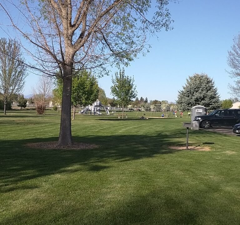 Soccer Field image 2