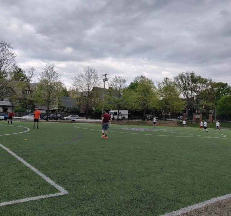 Soccer Field image 3