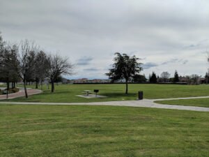 Soccer Field image 1