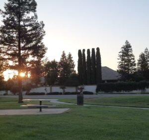 Soccer Field image 4