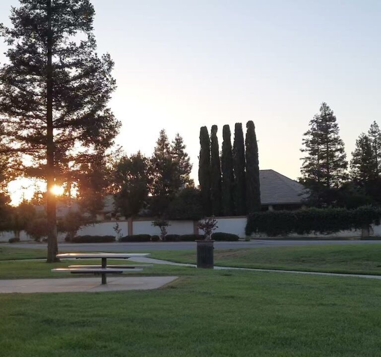 Soccer Field image 4