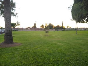 Soccer Field image 1