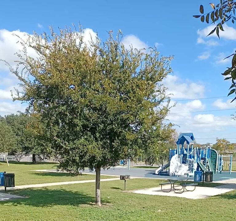 Soccer Field image 3