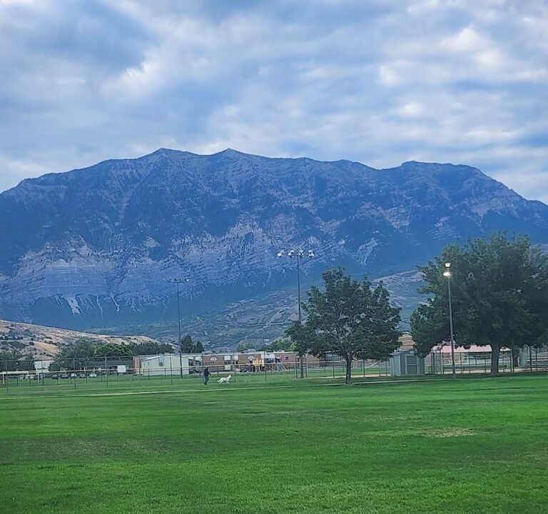 Soccer Field image 2