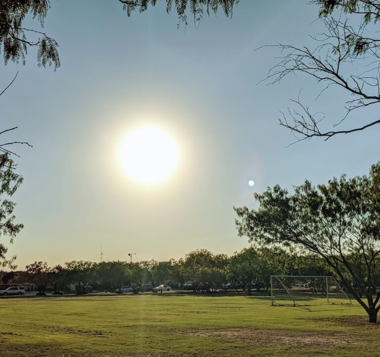 Soccer Field image 3