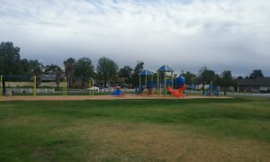 Soccer Field image 1