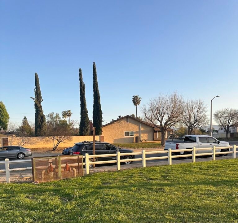 Soccer Field image 2
