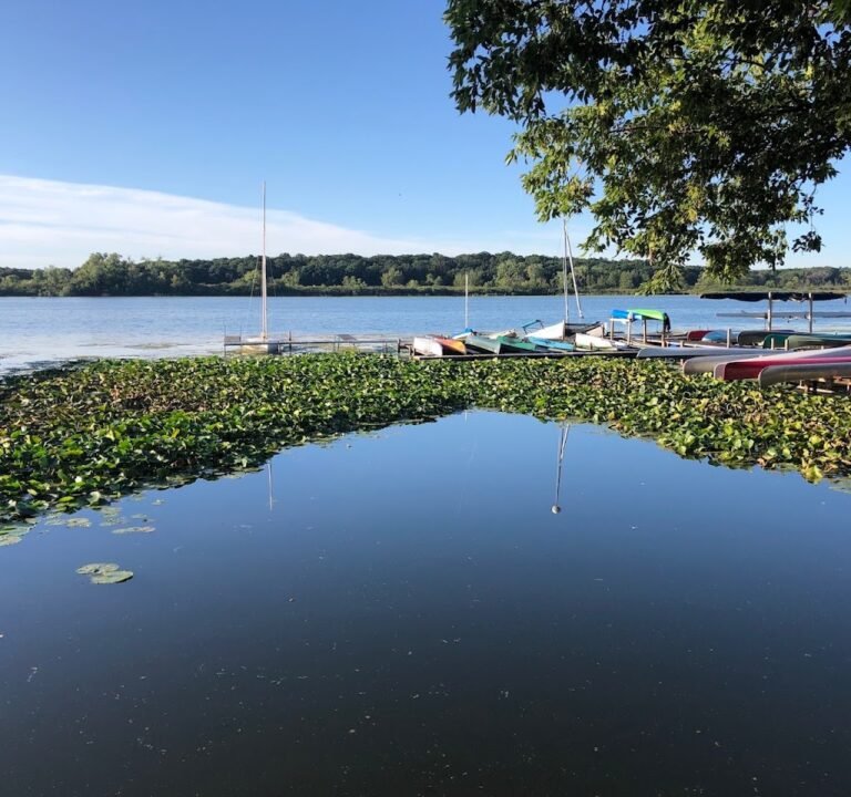 Soccer Field image 2