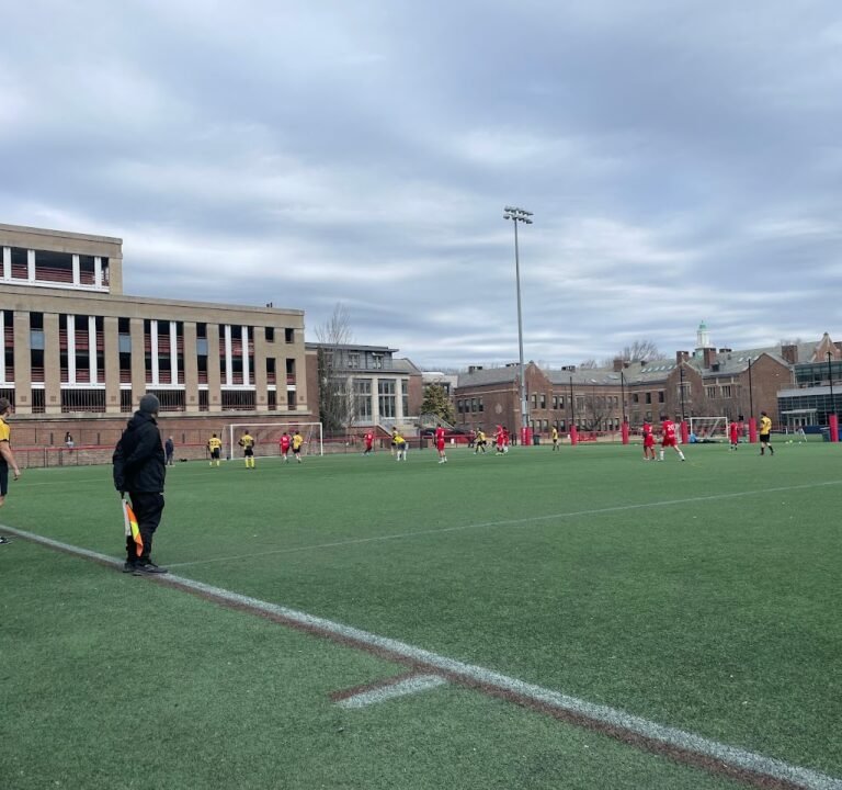 Soccer Field image 2
