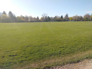 Soccer Field image 1