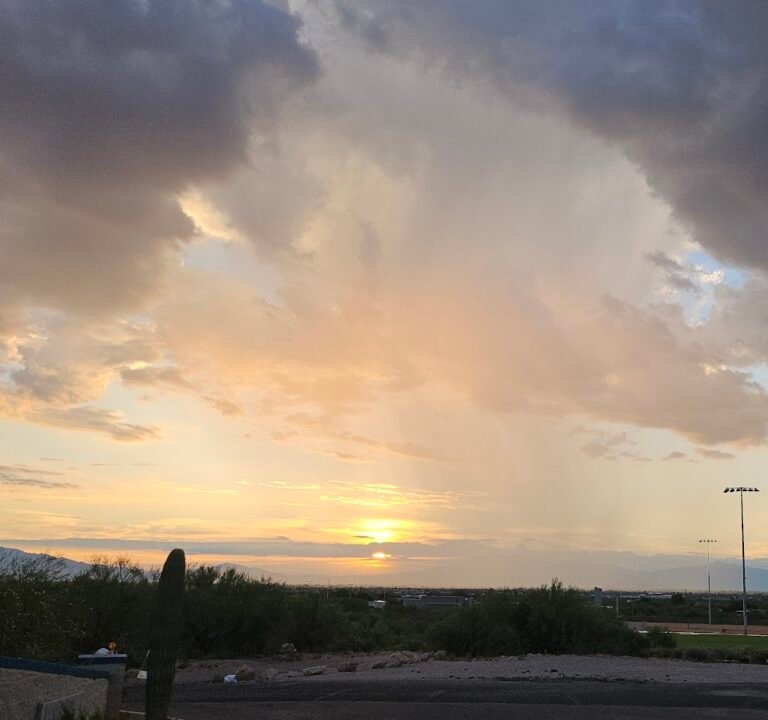 Soccer Field image 2