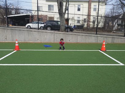 Soccer Field image 1