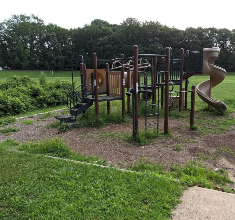 Soccer Field image 2