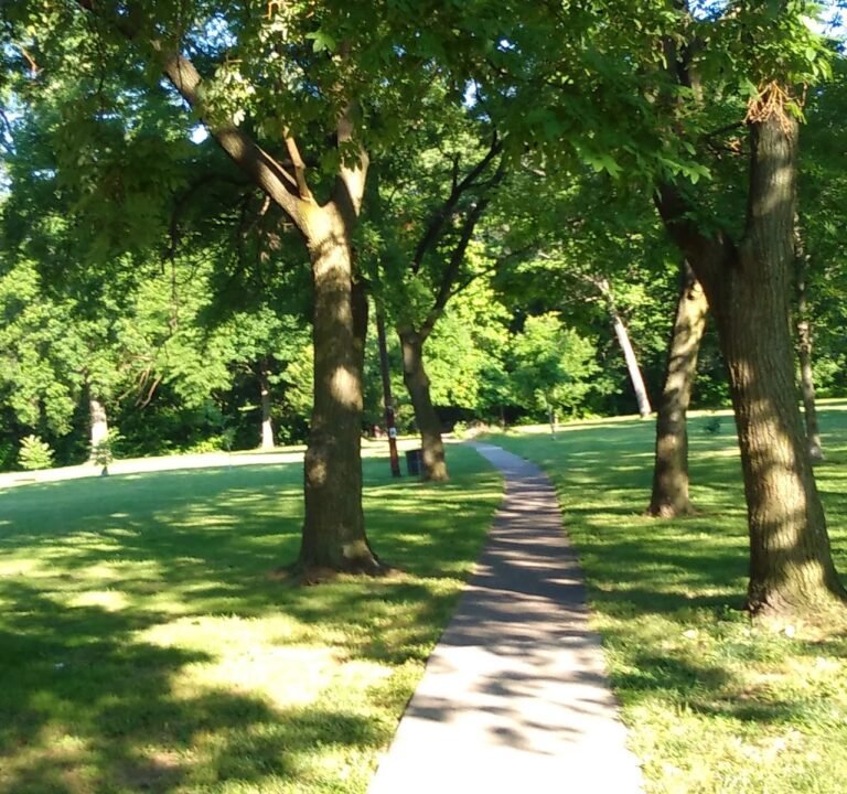 Soccer Field image 2