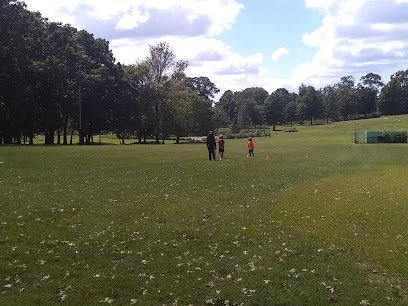 Soccer Field image 1