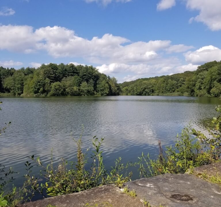 Soccer Field image 2