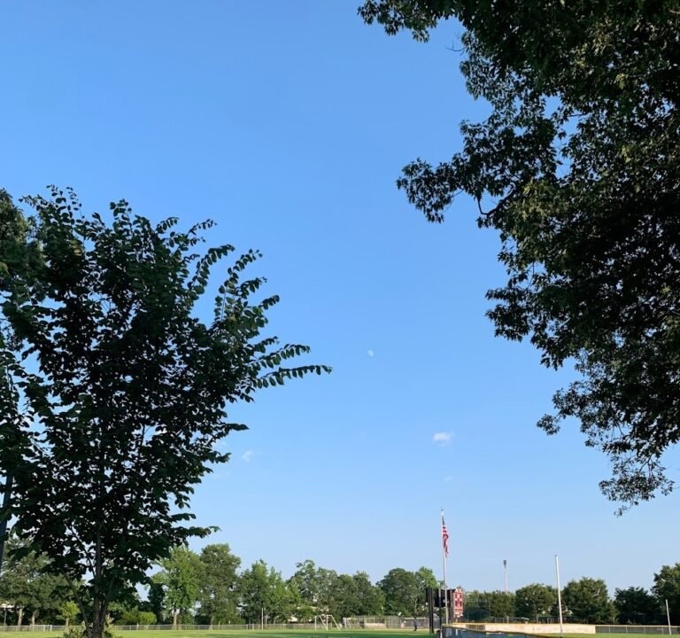 Soccer Field image 2